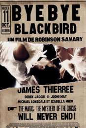 Bye Bye Blackbird