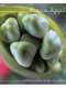 Fiona Apple: Extraordinary Machine