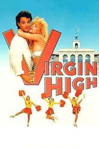 Virgin High - Poster