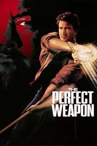 The Perfect Weapon - Poster