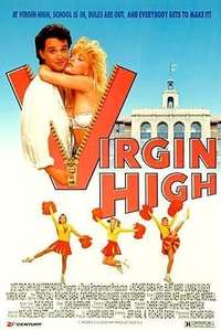 Virgin High - Poster