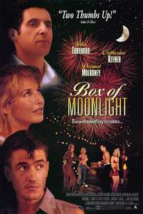 Box of Moonlight - Poster