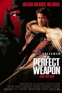 The Perfect Weapon - Poster