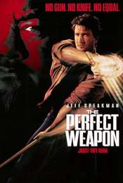 The Perfect Weapon
