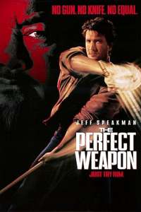 The Perfect Weapon - Poster