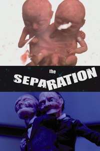 The Separation - Poster