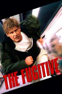 The Fugitive - Poster