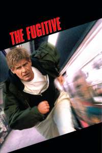 The Fugitive - Poster