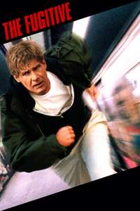 The Fugitive - Poster