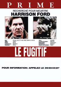 The Fugitive - Poster