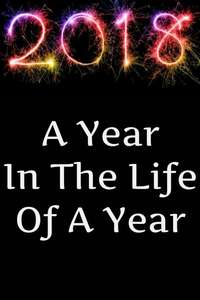 2018: A Year in the Life of a Year - Poster