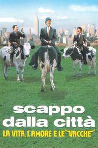 City Slickers - Poster