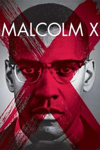 Malcolm X - Poster