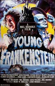 Making Frankensense of Young Frankenstein - Poster