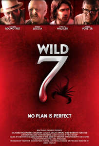 Wild Seven - Poster