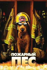 Firehouse Dog - Poster