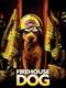 Firehouse Dog