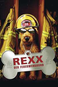 Firehouse Dog - Poster