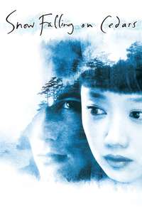 Snow Falling on Cedars - Poster