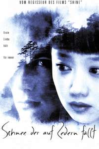 Snow Falling on Cedars - Poster