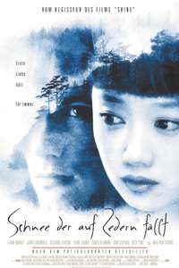 Snow Falling on Cedars - Poster
