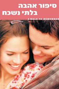 A Walk to Remember - Poster