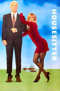 Housesitter - Poster
