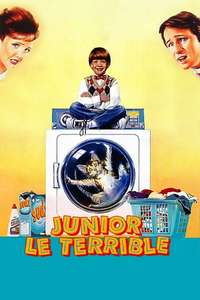 Problem Child - Poster