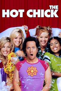 The Hot Chick - Posters