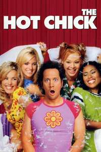 The Hot Chick - Posters