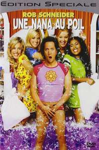The Hot Chick - Posters