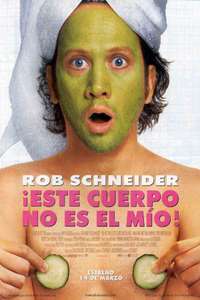 The Hot Chick - Posters