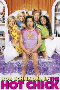 The Hot Chick - Posters