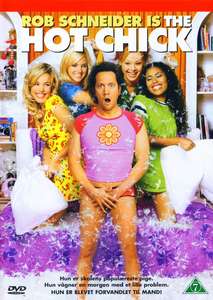 The Hot Chick - Posters
