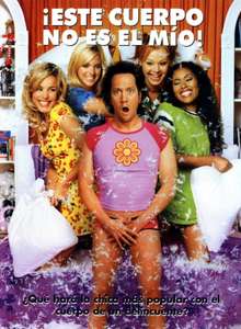 The Hot Chick - Posters