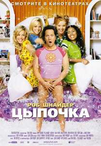 The Hot Chick - Posters