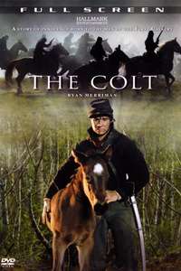 The Colt - Poster
