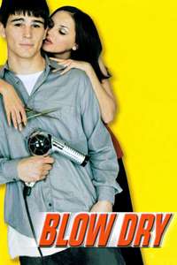 Blow Dry - Poster