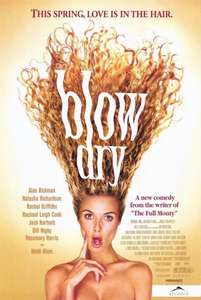 Blow Dry - Poster