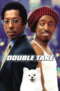 Double Take - Poster