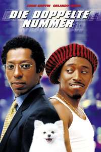 Double Take - Poster