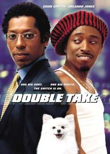 Double Take - Poster