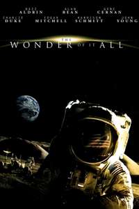 The Wonder of It All - Poster