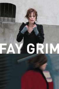 Fay Grim - Poster