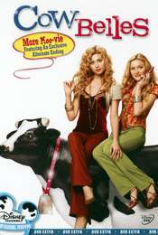 Cow Belles