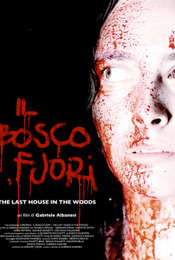 The Last House in the Woods