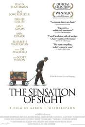 The Sensation of Sight