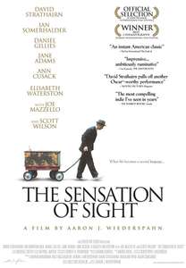 The Sensation of Sight - Poster