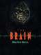 The Brain