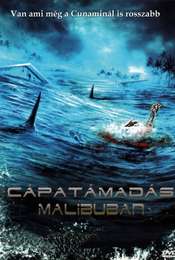 Malibu Shark Attack